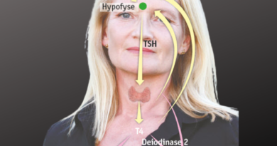 Hvad er T4-medicin og T3-medicin?